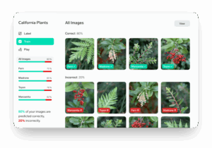 Lobe.ai Review — Dan Rose AI
