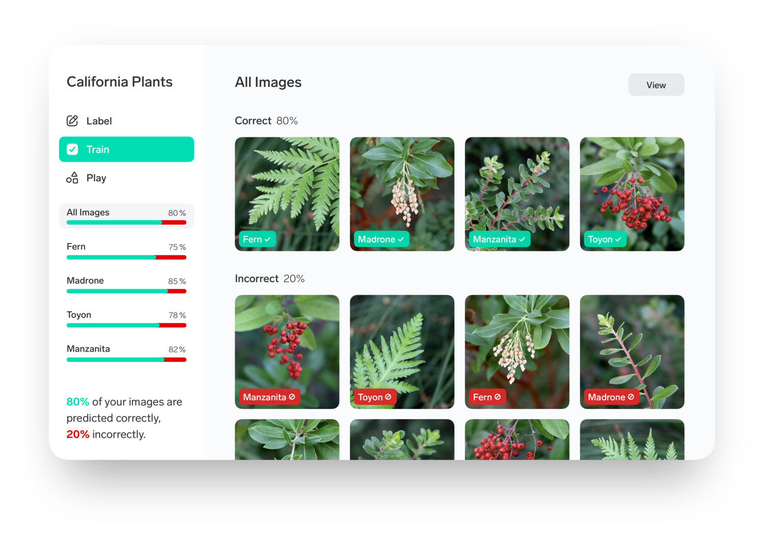Lobe.ai Review — Dan Rose AI