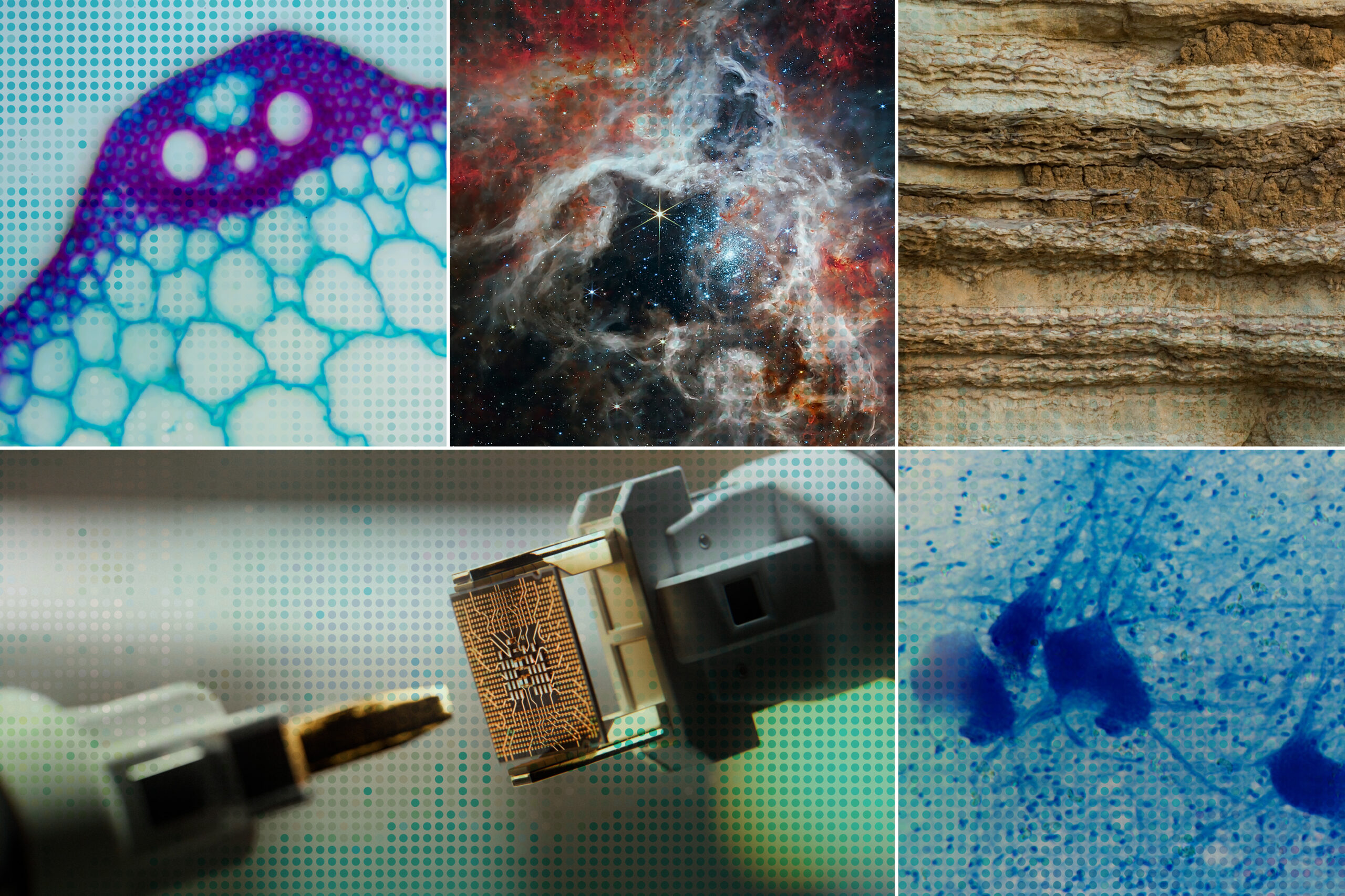 Accelerating scientific discovery with AI |...
