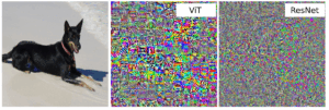Understanding Vision Transformers (ViTs): Hidden properties,...