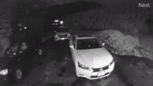 Build an Animal/Object Tracking Camera App...
