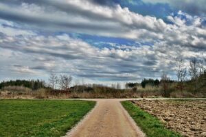 Making Decisions Less Painful – MetaDevo