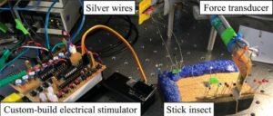 Cyborg Insects Update 2 – MetaDevo