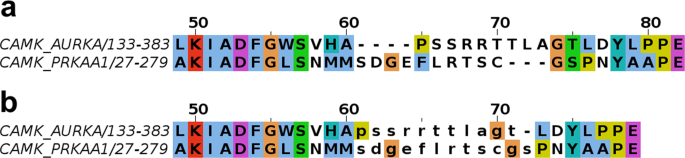 Multiple Sequence Alignment