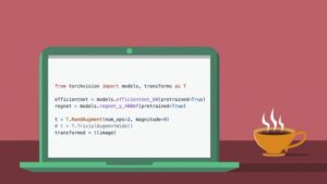 A sneak peek at TorchVision v0.11...